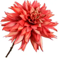 Silk-ka kunsttak dahlia 65cm oranje - afbeelding 1