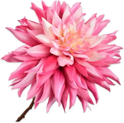 Silk-ka kunsttak dahlia 65cm roze - afbeelding 1