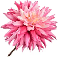 Silk-ka kunsttak dahlia 65cm roze - afbeelding 1
