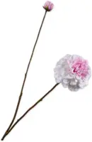 Silk-ka kunsttak dahlia 86cm crème - afbeelding 1