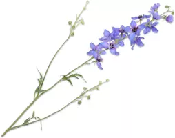 Silk-ka kunsttak delphinium 101cm blauw, paars kopen?