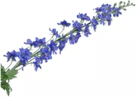 Silk-ka kunsttak delphinium 116cm blauw - afbeelding 1