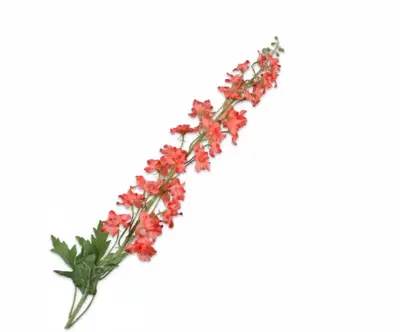 Silk-ka kunsttak delphinium 127cm zalm - afbeelding 1