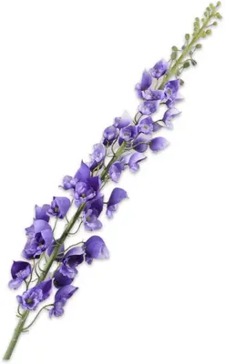 Silk-ka kunsttak delphinium 135cm lavendel - afbeelding 1