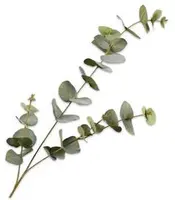 Silk-ka kunsttak eucalyptus 86cm groen - afbeelding 1