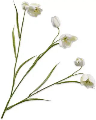 Silk-ka kunsttak fritillaria 64cm crème - afbeelding 1