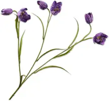 Silk-ka kunsttak fritillaria 64cm lavendel - afbeelding 1
