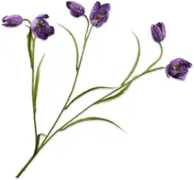 Silk-ka kunsttak fritillaria 64cm lavendel kopen?