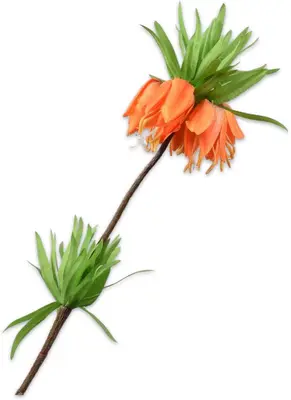 Silk-ka kunsttak fritillaria 64cm oranje - afbeelding 1