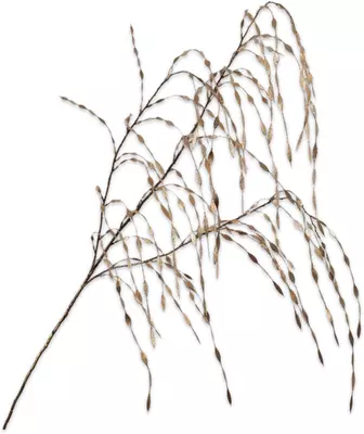 Silk-ka kunsttak gras 119cm goud - afbeelding 1