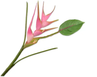 Silk-ka kunsttak heliconia 85cm roze - afbeelding 1