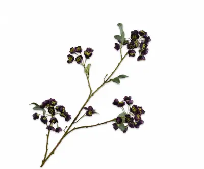 Silk-ka kunsttak helleborus 100cm bordeaux - afbeelding 1