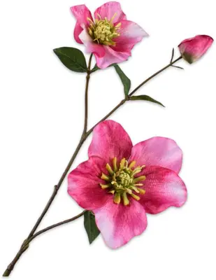 Silk-ka kunsttak helleborus 71cm roze - afbeelding 1