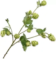 Silk-ka kunsttak hop 77cm groen - afbeelding 1