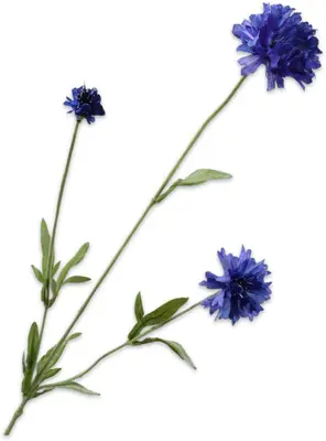Silk-ka kunsttak korenbloem 65cm lavendel - afbeelding 1