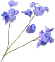 Silk-ka kunsttak lathyrus 66cm blauw - afbeelding 1