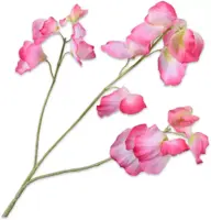 Silk-ka kunsttak lathyrus 66cm roze - afbeelding 1