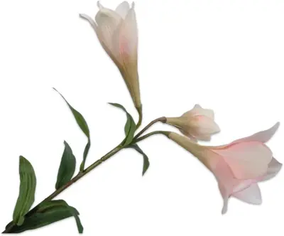 Silk-ka kunsttak lelie 0cm crème, roze - afbeelding 1