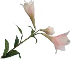 Silk-ka kunsttak lelie 0cm crème, roze - afbeelding 1