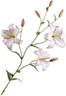 Silk-ka kunsttak lelie 132cm wit, roze - afbeelding 1