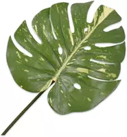 Silk-ka kunsttak monstera 65cm groen - afbeelding 1