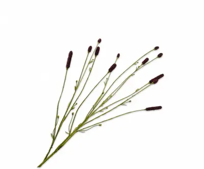 Silk-ka kunsttak pimpernel 84cm bruin - afbeelding 1