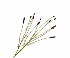 Silk-ka kunsttak pimpernel 84cm bruin - afbeelding 1