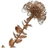 Silk-ka kunsttak protea 0cm goud - afbeelding 1