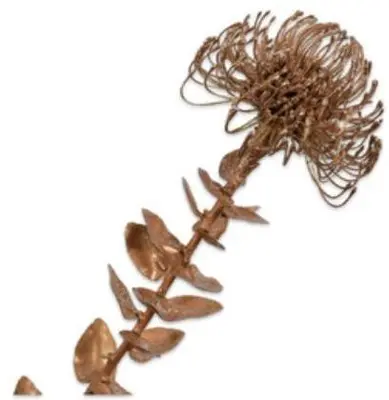 Silk-ka kunsttak protea 0cm goud - afbeelding 1