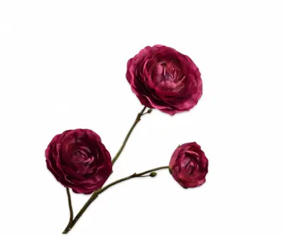 Silk-ka kunsttak ranonkel 46cm bordeaux - afbeelding 1