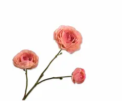 Silk-ka kunsttak ranonkel 46cm zalm - afbeelding 1