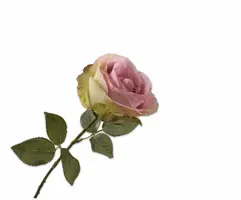 Silk-ka kunsttak roos 66cm lila, groen - afbeelding 1