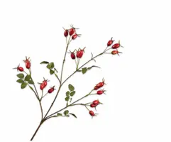 Silk-ka kunsttak rozenbottel 67cm rood - afbeelding 1