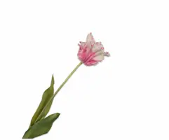 Silk-ka kunsttak tulp 71cm roze, wit - afbeelding 1
