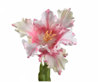 Silk-ka kunsttak tulp 71cm roze, wit - afbeelding 2