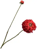 Silk-ka kunsttak zinnia 85cm rood - afbeelding 1