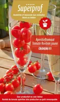  Solanum lycopersicum (Aperitieftomaat) 15cm - afbeelding 1