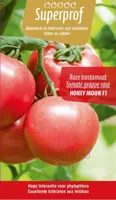 Solanum lycopersicum (Roze tomaat) 15cm - afbeelding 1