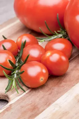Solanum lycopersicum (Tomaat) - afbeelding 163