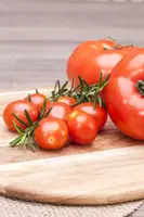 Solanum lycopersicum (Tomaat) - afbeelding 165