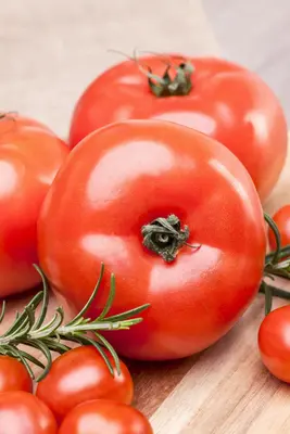 Solanum lycopersicum (Tomaat) - afbeelding 168