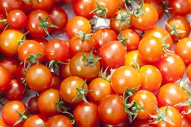 Solanum lycopersicum (Tomaat) - afbeelding 153