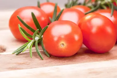 Solanum lycopersicum (Tomaat) - afbeelding 164
