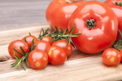 Solanum lycopersicum (Tomaat) - afbeelding 166