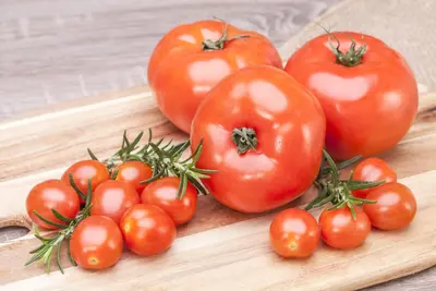 Solanum lycopersicum (Tomaat) - afbeelding 167
