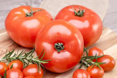 Solanum lycopersicum (Tomaat) - afbeelding 172