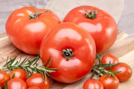Solanum lycopersicum (Tomaat) - afbeelding 172