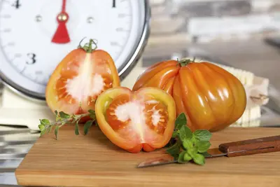 Solanum lycopersicum (Tomaat) - afbeelding 179