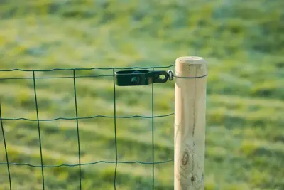 Spandraad geplastific. d2.7mm l25m - afbeelding 3