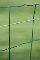 Spandraad verzinkt d2mm l10m - afbeelding 4